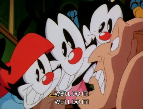 sambatte:  animaniacs really gets me  im furry for yakko i really am