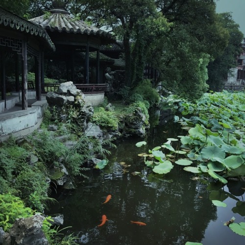 changan-moon:Chinese garden by 张大水.  Location: 浙江省，湖州市，南浔镇，小莲庄。