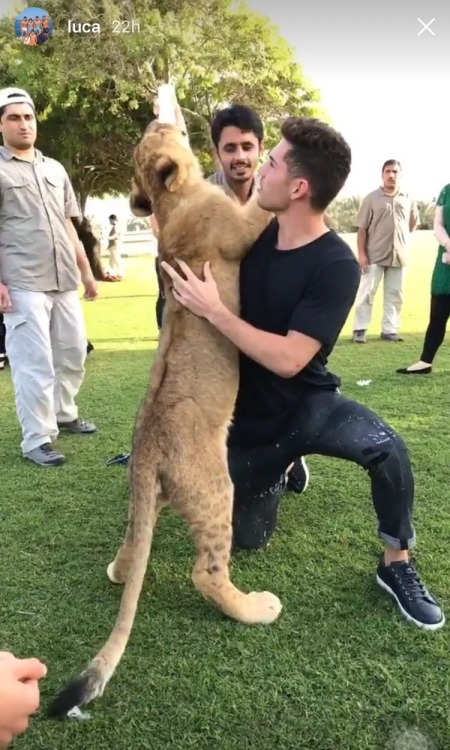 Zidane Family at a Private Zoo in Dubai