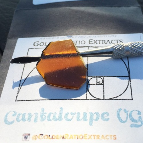 terpsincluded:  Lunch time #lunchtime #break #sunshine #shatter #amber #og #cannaloupe #goldenratio #goldenratioextracts #terpsincluded #lowtempdabs #dabs #oil #lowppm #cleanmeds #prop215 @goldenratioextracts