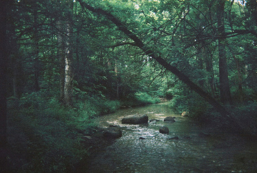 lostinthewhiteroom:untitled by esther jung on Flickr.