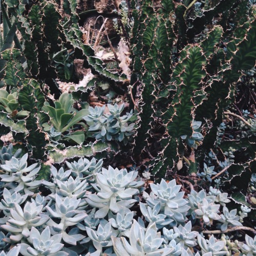 bbralejandra.tumblr.com/post/130946265300/