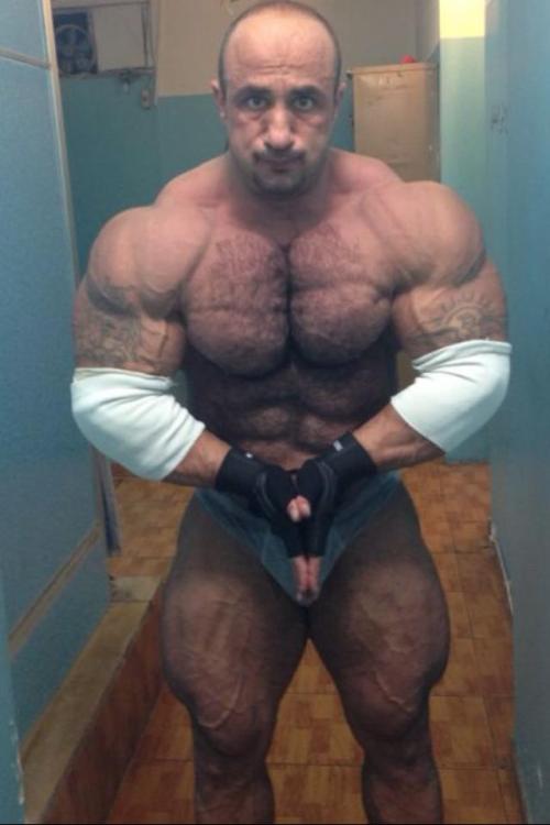 bodybuilers4worship:  muscledlust:  Moe Bannout, massive, furry, handsome and fuck, pull down those shorts!    I can see why your elbows need support man…… Fuccccck