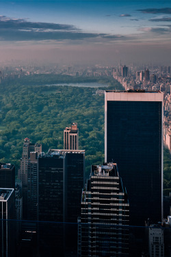 setbabiesonfire:  wukay:  Central Park | Diego Chiara  This is the side I always go to.