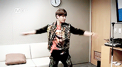 namuyeols:  Dance genre’s by Infinite-H~ 