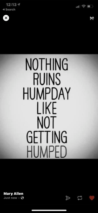 youthinkyouknowme0919:Once again it’s humpless hump day