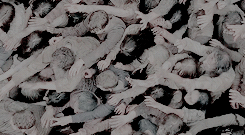 shadesofdixon:   “Being afraid is what’s kept us alive.“                                                        "No. It’s how we kept breathing.” 