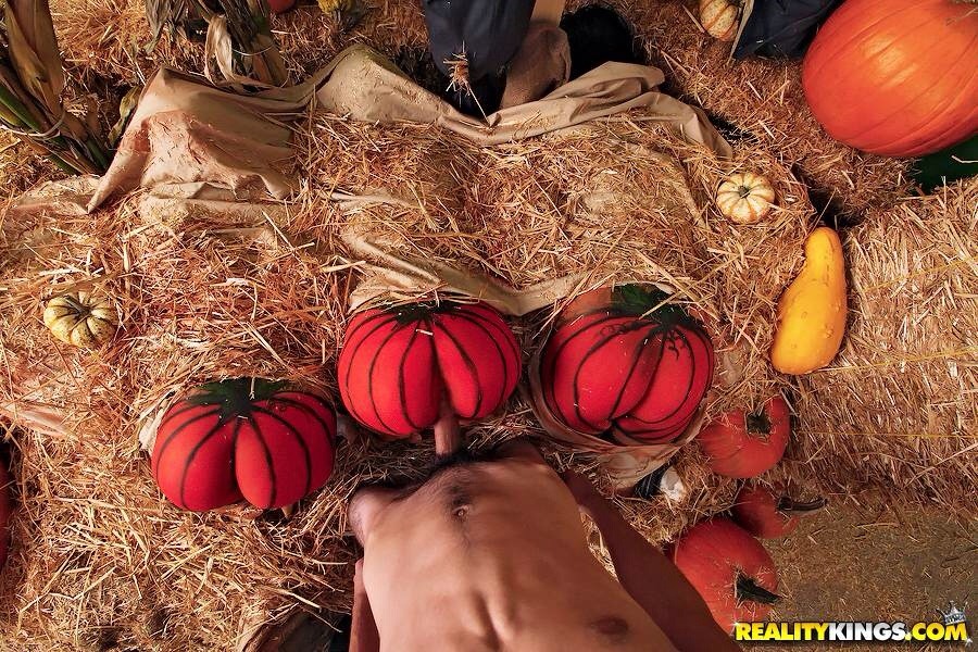 anneebelle:  That’s one way to pick the perfect pumpkin! 
