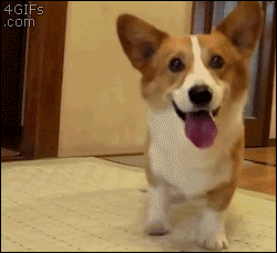 look how happy he is :) cuteness overload