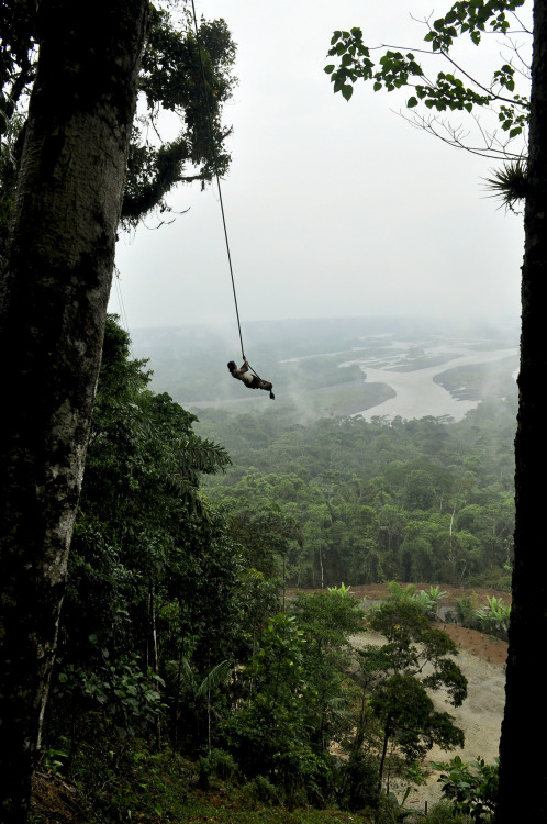 caramel-duchess: Selva - Ecuador por Cony Castex