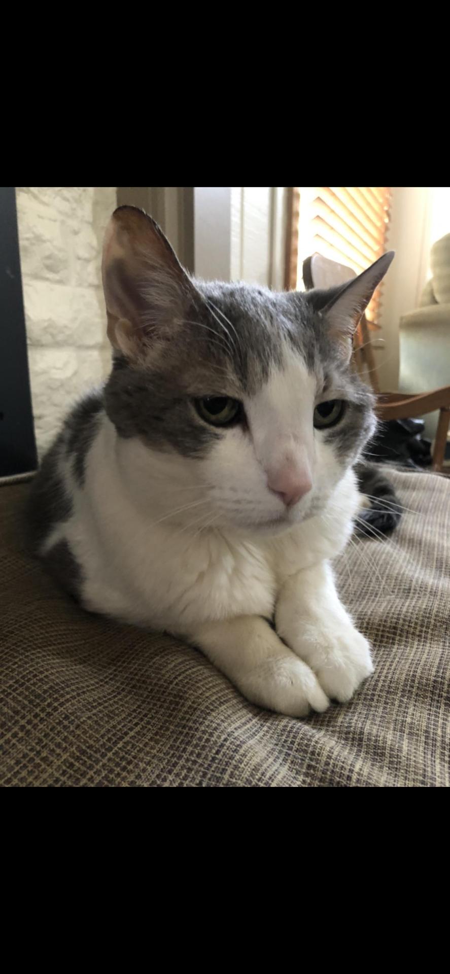 Lost My Baby Today. Floyd Had An Amazing 20 Years And Will Be Missed So Much.