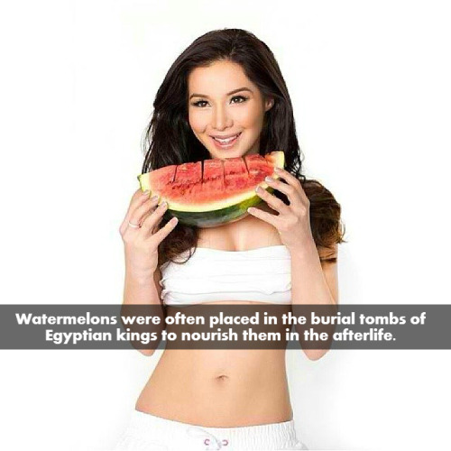Watermelon facts adult photos
