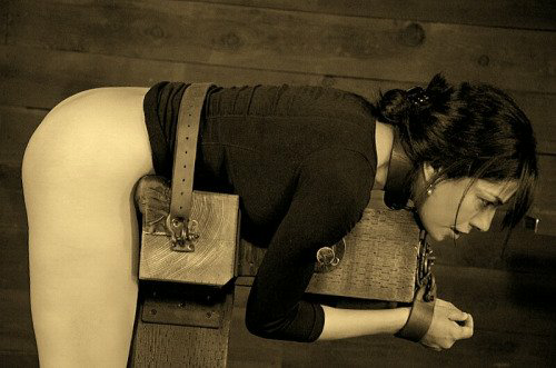 itamefemales: The main purpose of a woman is to have sex with her anus. This device
