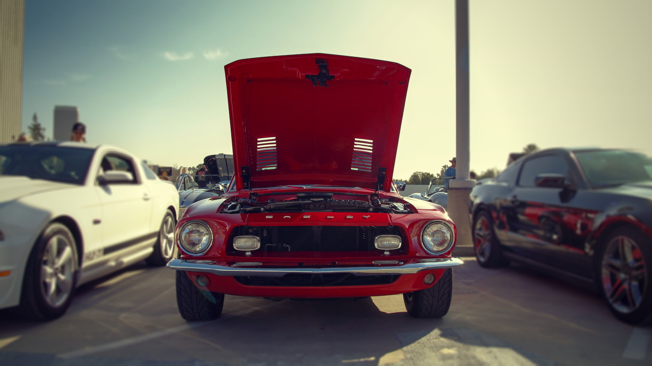 yessir-youarefat:  Shelby GT500 widebody Carroll Shelby Cruisein, Petersen Automotive