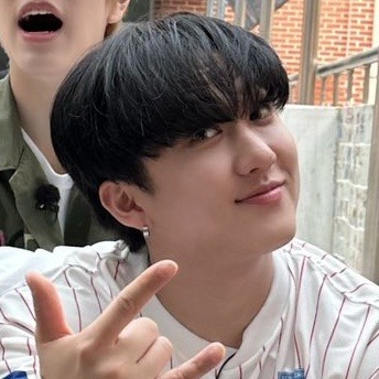 Stray Kids Matching Icons/metadinhas.