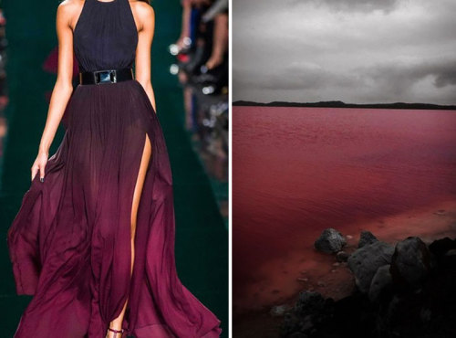 lovestoned-perfect:  boredpanda:    Fashion Inspired By Nature In Diptychs By Liliya Hudyakova    OH DEAR GOD