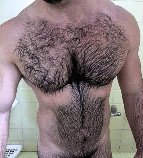 love all that hair porn pictures