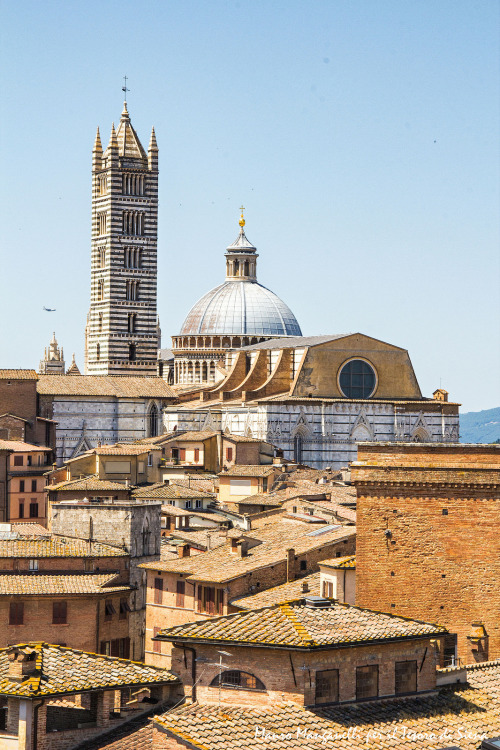 Il Duomo dalla Torretta del RettoratoFoto del Tesoro di Siena su Flickr