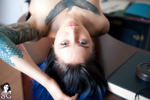 suicidegirlsphotos:  Venom - FoxDownloadPassword: SuicideGirlsSetVisit Us SuicideGirlsSet And See Much More Tattooed Girls.