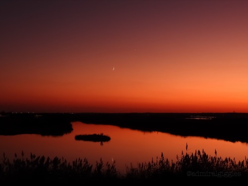 An Ode To Sunset