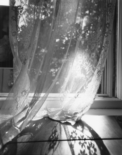 birdsong217:Nicholas Nixon. Bebe’s Curtain, 2000.