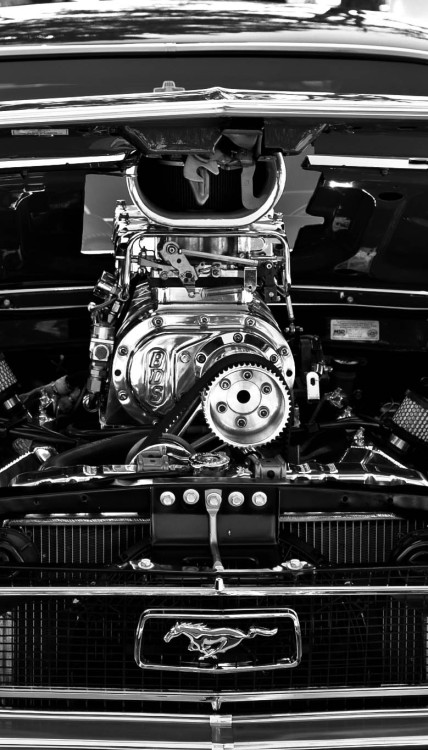 h-o-t-cars:  Ford Mustang by Gary Collins 
