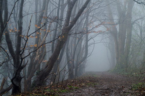 Into the Unknown by Edd Allen on Flickr.
