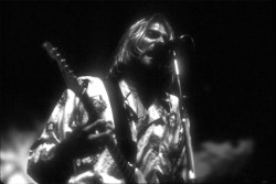 the-nirvana-blog:  A blog dedicated to Nirvana/Kurt