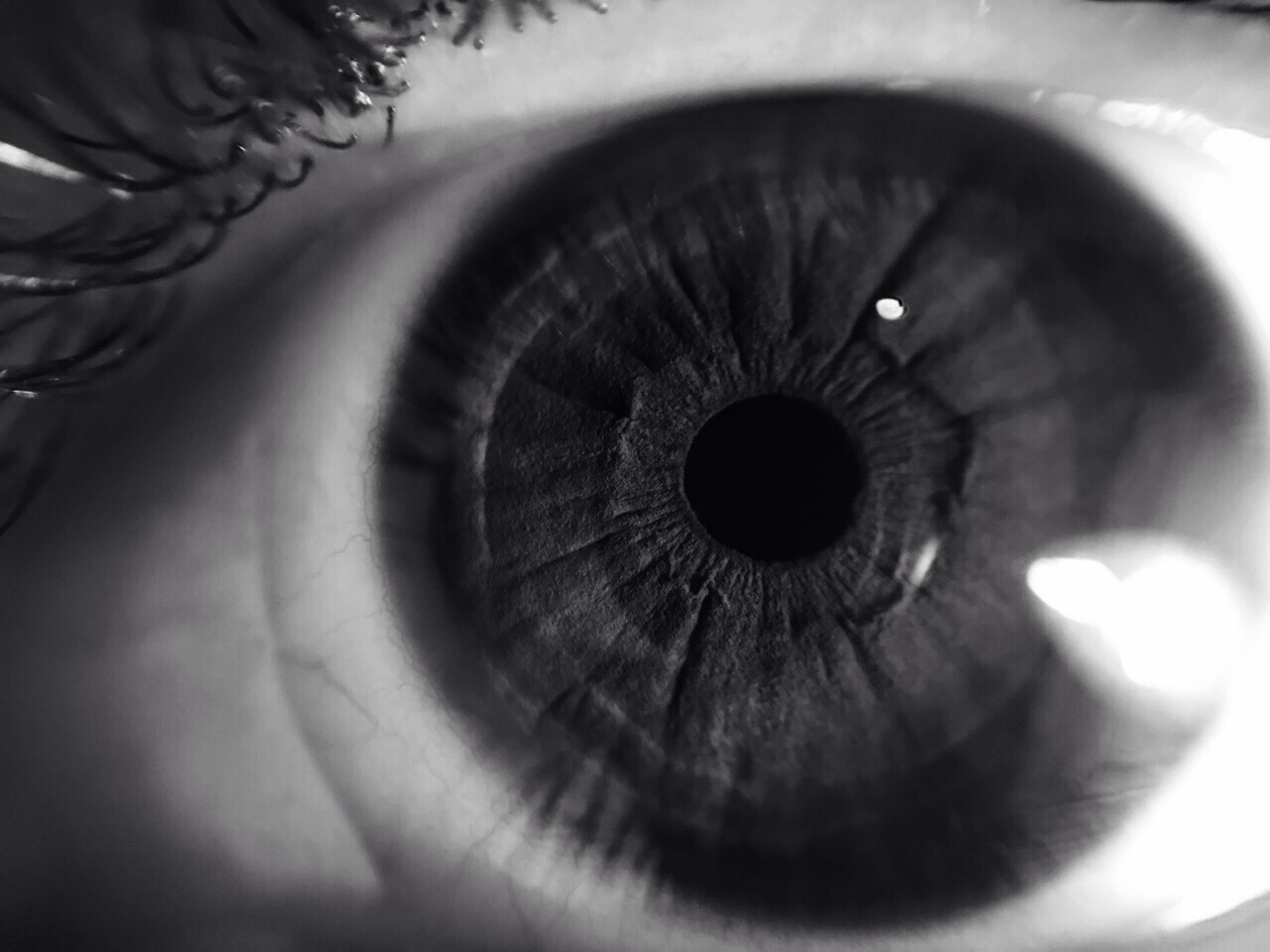 northwestt8:  “We are connected”  A human eye vs planet Mars surface
