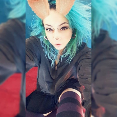 🐰🐰🐰 #o0pepper0o #piercedgirls #rabbits #rabbitears #canadian #punky #aquamarinehair #creative #altmodel #cammodel #bossbae