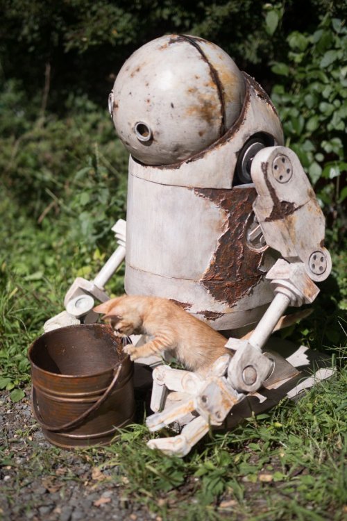 taraljc: questions-within-questions: ROBOT UNABLE TO LOOK UP DEPENDENT ON KITTENS TO TAKE PART IN HU