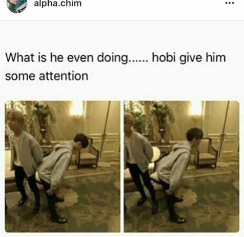 googlebts: Just give the boy some love