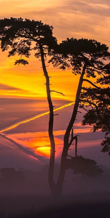 janetmillslove:  Silhouettes in the s moment love