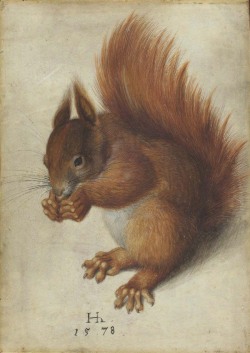 design-is-fine:  Hans Hoffmann, Red Squirrel,