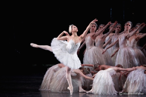 galina-ulanova:Roberta Marquez as Odette in Swan Lake (Royal Ballet, 2015)