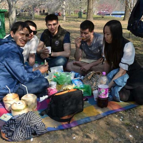 Sakura in spring. #studyabroad #sakuragarden #dalian #picnic #thelife