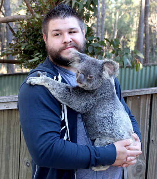 conikumanly:  Kevin Owens + Animals