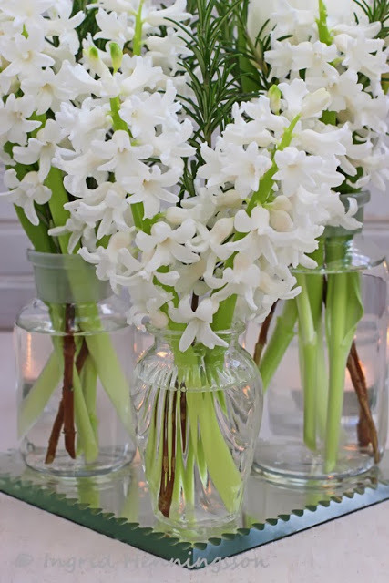 Hyacinths smell divine. Interesting that they have rosemary springs with them, I