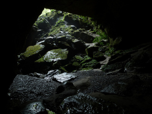 Taurus Major Cave, Cave Creek, Punakaiki by New Zealand Wild on Flickr.