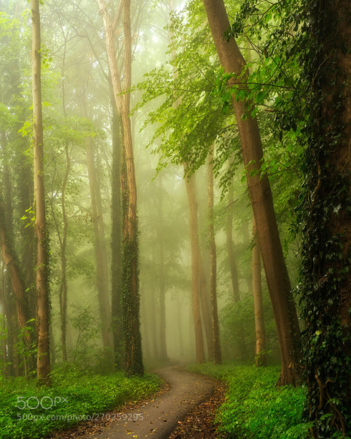 Greenway by larsvandegoor