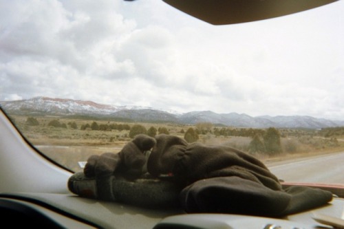 lauryncravens: Driving through the desert on film