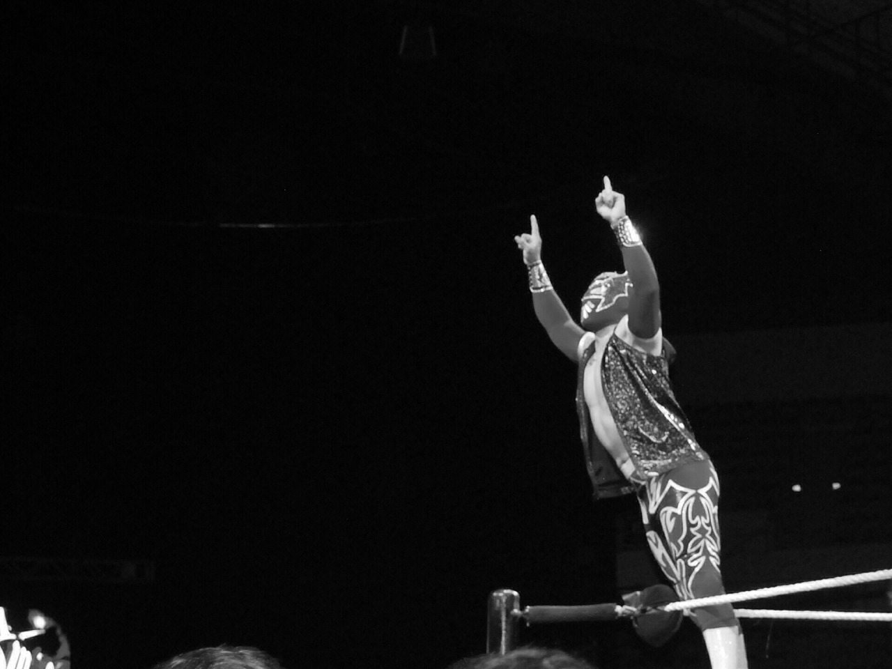 madamemal:  My black and white shots from last night’s WWE Live in Fort Wayne.