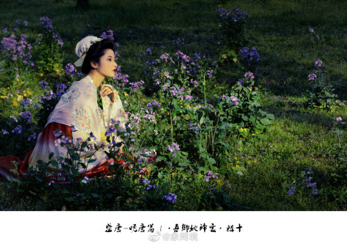 [Hanfu · 漢服]China Tang Dynasty Chinese Traditional Clothing Hanfu PhotoshootsLate Tang Women&