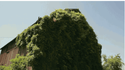 colourmeinkindn3ss:  I completely forgot how beautiful some of the shots in the video for Bending by Cloakroom (x) actually are. I made these gifs like last year. Big up Alex Henery. 