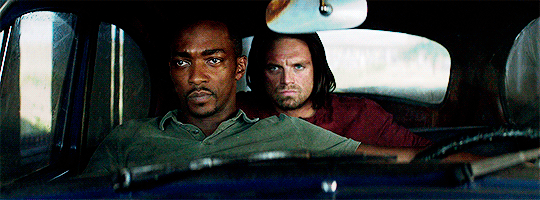 DAILY BUCKY BARNES