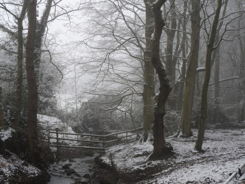 Biddulph Country Park in the Snow by crookcarol on Flickr.