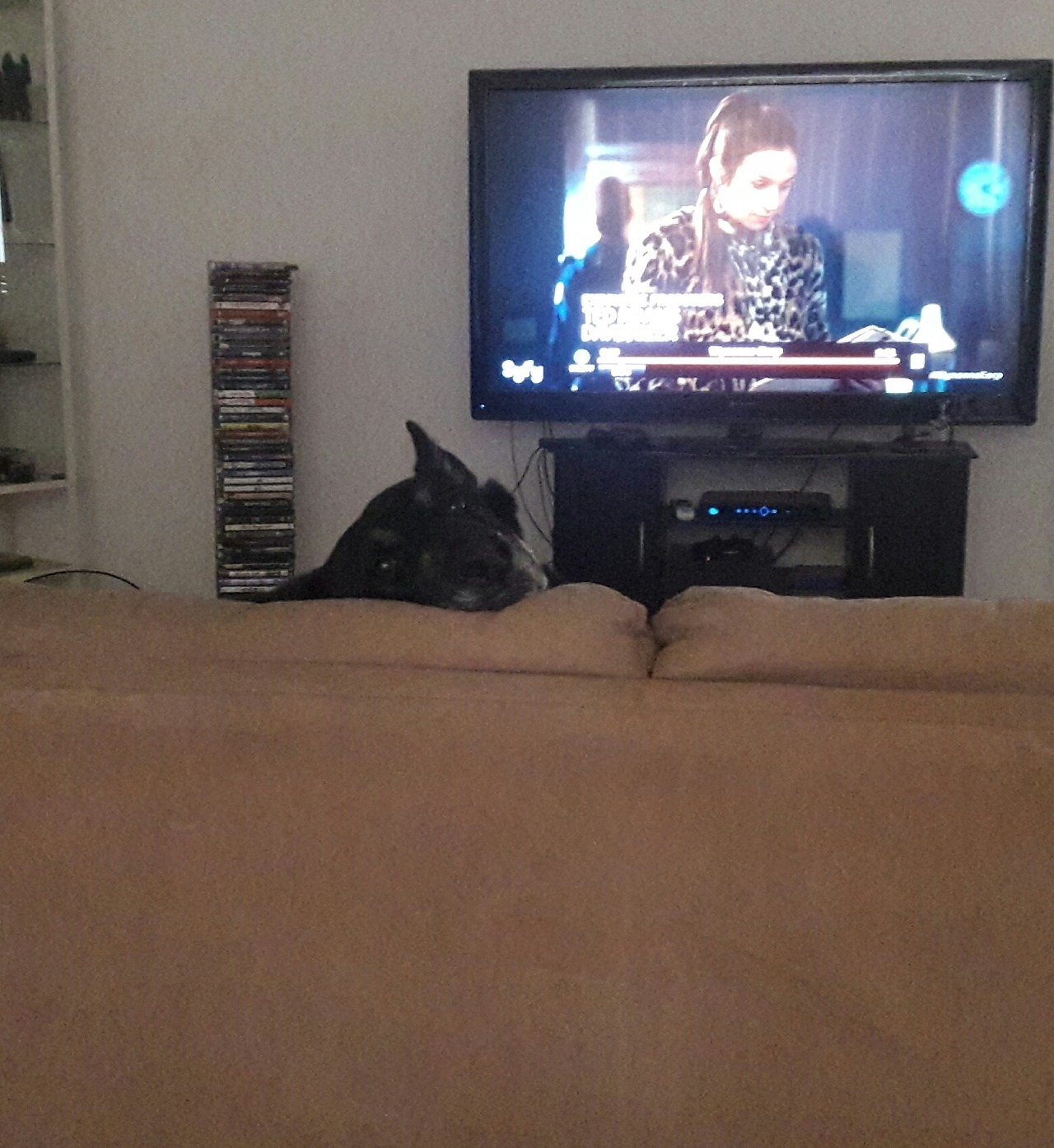 He wants to keep an eye on my food (in case I want to give him some) but also doesn&rsquo;t