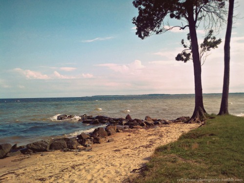 Driftwood Beach feat. Sandbars by Melanie Stangl