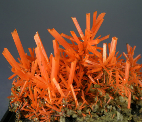 Crocoite with Gibbsite and Dundasite - Adelaide Mine, Dundas, Zeehan District, Tasmania