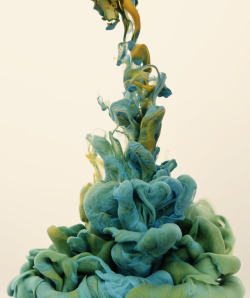 unknowneditors:  Alberto Seveso | http://burdu976.com  Alberto Seveso’s high speed photographs of ink mixing with water are hypnotic and fascinating. Each shot depicts pushes of color twisting and bending with an emotive cadence, lulling itself into